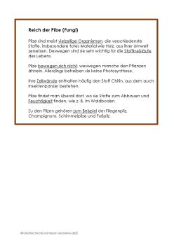 5 Reiche Textkarten